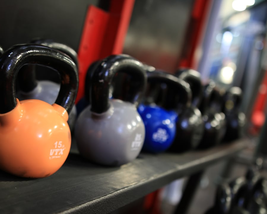 A row of kettlebells on a gym shelf, an orange one closest to the camera